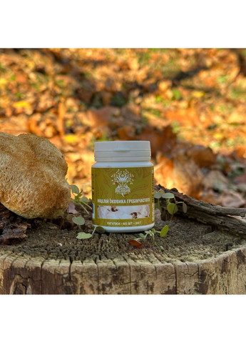 Мицелий ежика гребенчатого в таблетках 60 шт по 0,4 г Лісовик (334711100)