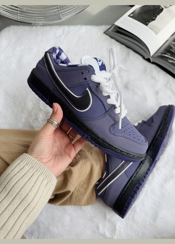 Кроссовки женские и мужские Nike SB Dunk Low Purple Lobster | Найк СБ Данк фиолетовые No Brand фиолетовые демисезоны (339775740)