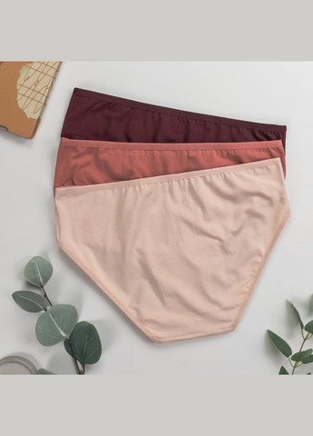 Трусики-сліпи жіночі трійки 3 шт Dominant (340462223)