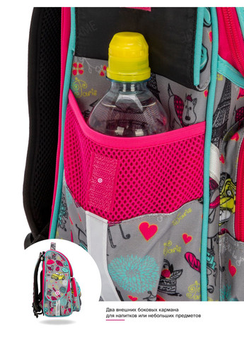 Ортопедический рюкзак (ранец) в школу серый для девочек /SkyName с Котиками 34х26х14 см в 1 класс (2072) Winner (293504187)