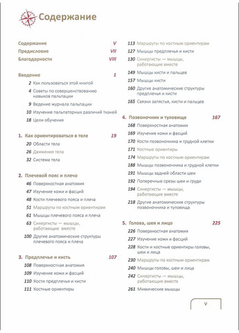 Путешественник по телу. Практическое руководство по пальпации тела. Эндрю Билл No Brand (366970279)