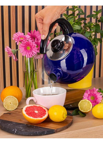 Чайник емальований 2,5л із свистком темно-синій для кип'ятіння води з бакелітовою ручкою Kamille (368977688)