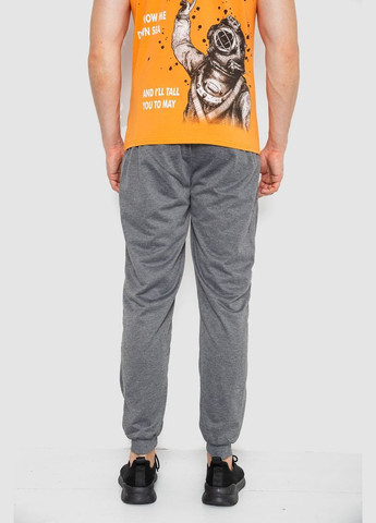 Серые спортивные демисезонные брюки Ager