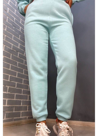 Брюки жіночі 24-13 спортивні штани джоггери резинка на талії утеплені PEPPER MINT (304548477)