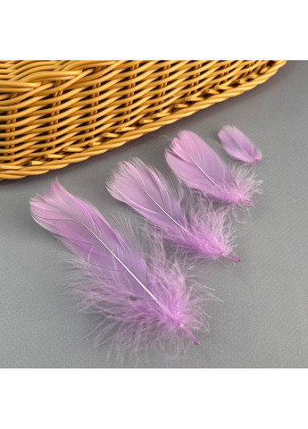 Пір'я гусячі для рукоділля 9-13 см, ∼95шт - бузковий Plus-plus (354794947)