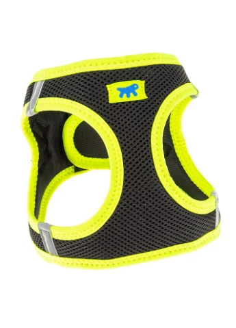 Шлея для собак и котов Kaori P XXS желто-черная А: 24-28 см В: 28-32 см 75469021 Ferplast (269341594)