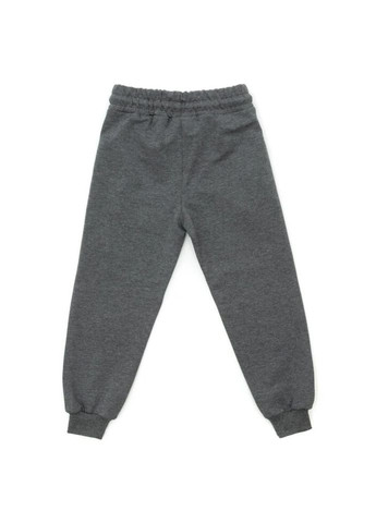 Штани дитячі спортивні (A-290-140B-gray) Joi (300857586)