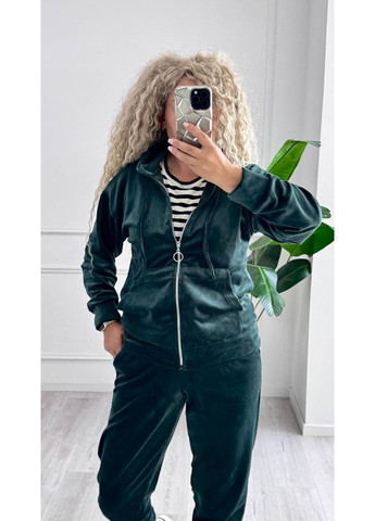 Спортивный костюм из велюра с капюшоном и змейкой. GD/GL Модний простір (360978718)
