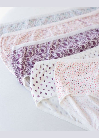 Жіночі трусики Plus Size - мікс 5 шт. Nicoletta (342119696)