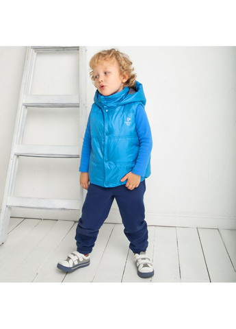 Жилет стьобаний утеплений дитячий унісекс Trendy Tot 03-01509_000000003 (372735814)