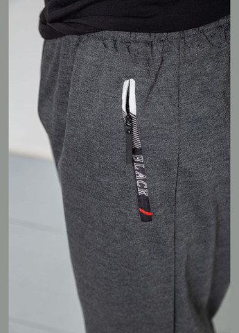 Темно-серые спортивные, кэжуал демисезонные брюки Ager