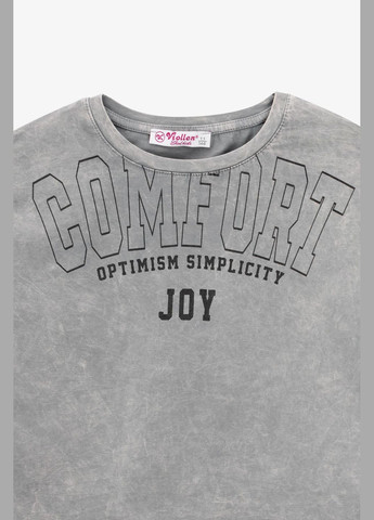 Светло-серая летняя футболка с принтом для девочки 5174 164 см светло-серый shop (2000990939951) Viollen