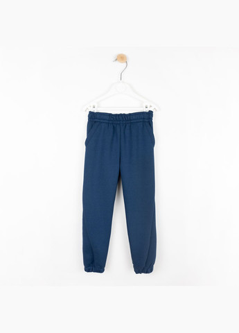 Детский теплый костюм Dexter`s на флисе blue dexter's (304547893)