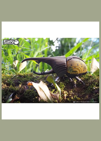 Сборная 3D модель Зоопарк Жук-Геркулес (XEG-112) Eugy (333251919)