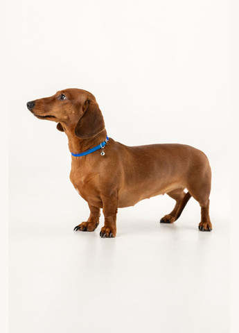 Ошейник KMK1199 Сине-зеленый (200201091010124A) shop (2002010910124) KUMAOCHONGWUYONGPIN (365040804)