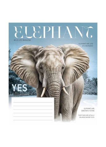 Тетрадь 18_листов клетка " " / Wild Life Star (342417676)