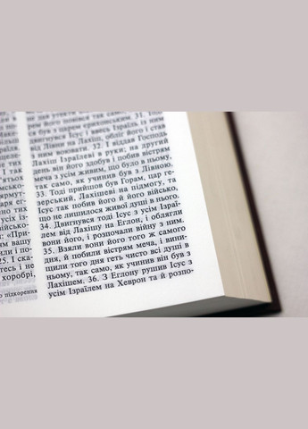Библия (перевод И.И. Хоменко), твердый переплет, 15х21 cм Українське Біблійне Товариство (316451558)