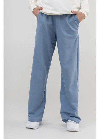 Голубые спортивные демисезонные брюки Adk