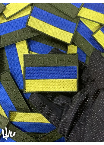 Шеврон Государственная пограничная служба. ДПСУ (форма прямоугольная. На липучке) Размер 7x5см No Brand (369924659)