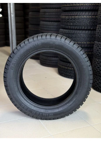 Шины зимние 205/55 R16 91H резина зимняя CONTI 790 DOMIN Poland Domino (377505406)