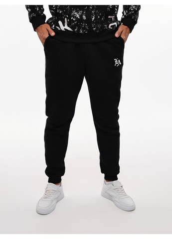 Штани спортивні чоловічі No Brand (365550566)