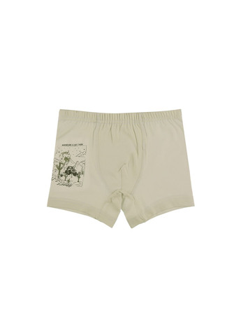 Трусики для мальчиков(5 шт.) Donella 757009 (333799384)