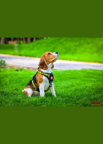 Шлея з нейлону з візерунком "WARNING", логотипом та пластиковою пряжкою 20 мм А:420-520 мм, В:500-630 мм Kareline (339074802)