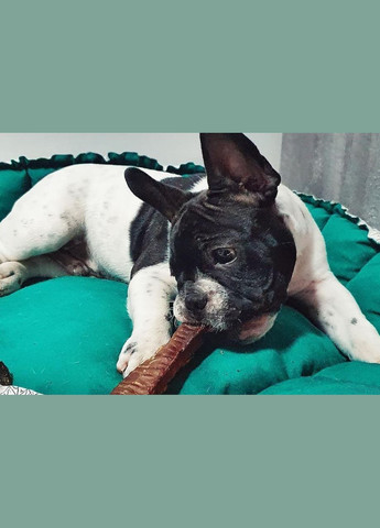 Натуральное лакомство для собак сушеная трахея пихты "Бетховен" 20 см. Bethowen (328272425)