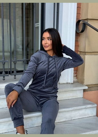 Спортивный велюровый костюм Fashion (300567343)