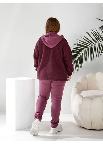 Костюм женский теплый трикотаж трехнитка начес,Тедди трикотаж,штаны и кофта с капюшоном Україна (360857410)