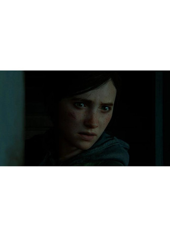 Гра для PS4 на BD диску THE LAST OF US PART II [PS4] Sony (362731937)