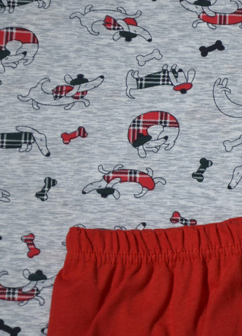 Серо-красная всесезон пижама м.448/1 таксы футболка + шорты Ярослав