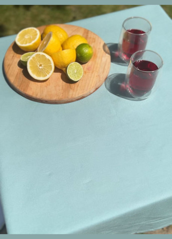 Водоотталкивающая Скатерть "Тиффани однотон" 100х100 см (+ 4 салфетки 30х40) No Brand (317275413)