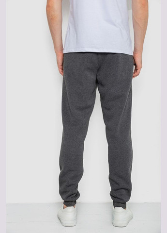 Спорт чоловічі штани на флісі Ager 244R41309 (304502898)