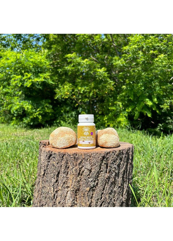 Экстракт мицелия Ежовика гребенчатого 120 капсул Лесовик Лісовик (364210638)