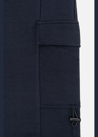 Темно-синие демисезонные брюки Yuki