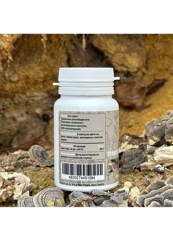 Гриб Траметес різнобарвний екстракт 10:1 60 капсул Лісовик (364210434)