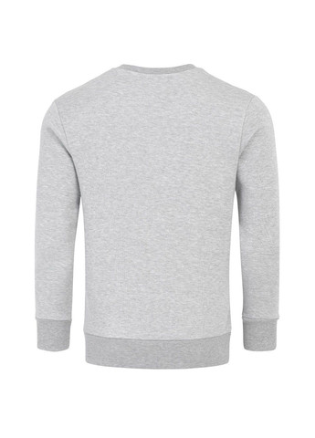 Сірий світшот Classic (302396811)