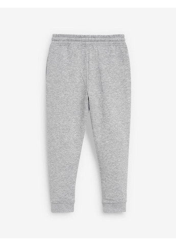 Дитячі теплі спортивні штани-джогери для хлопчика NEXT Сірий меланж (25103012) Next Baby (366393300)