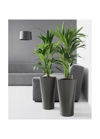 Спрей для листьев 0,3л 4025 Compo (316613677)