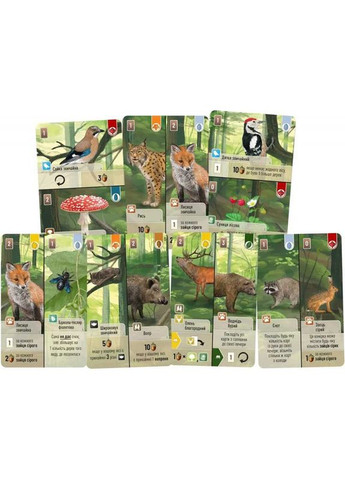 Настольная игра Лесная Суета (Forest Shuffle) (укр) ( ) Lord of Boards LOB2329UA (370762668)