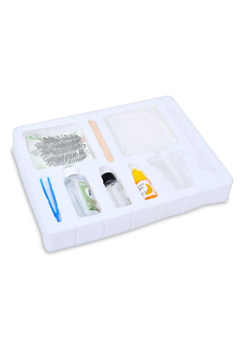 Детский набор для творчества "Сухоцвет" FG231102004M, пинцет, краска, застывающая жидкость No Brand (365638556)