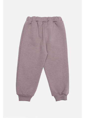 Сиреневые зимние брюки KRMS Sport