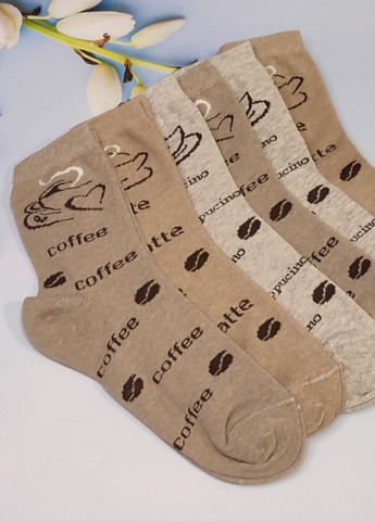 Комбіновані шкарпетки жіночі 6 пар ws 234/6 р.36-40 XTeam написи (351581649)