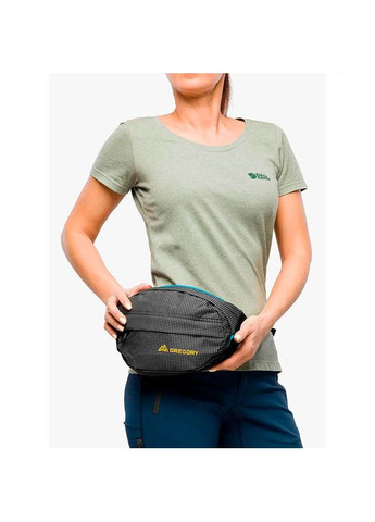 Поясная сумка Nano Waistpack 3.5 L Techno Black (126861/9969) Gregory (322200514)