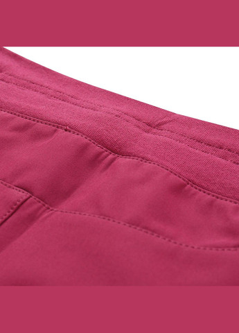 Темно-розовые демисезонные брюки Alpine Pro