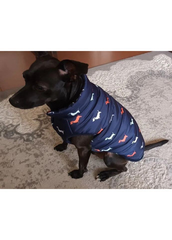 Жилетка для собак L No Brand (362572011)