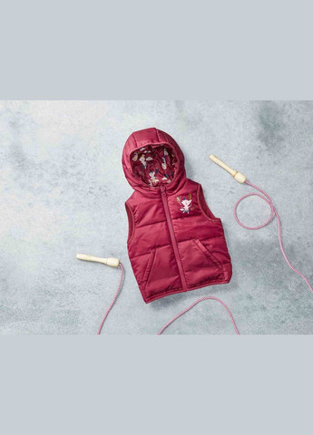 Жилетка с капюшоном для девочки Lupilu (337171162)