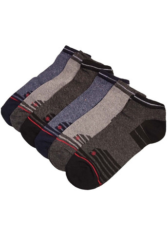 Комбіновані шкарпетки чоловічі короткі 6 пар житомир 118/6 р.40-44 XTeam смужки (352503911)