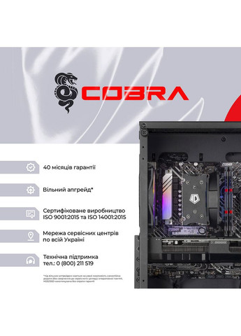 Компьютер Advanced (I144F.64.H1S5.97XT.25391W) Cobra (368902025)